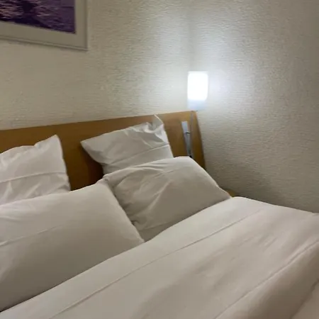 绿色酒店 酒店